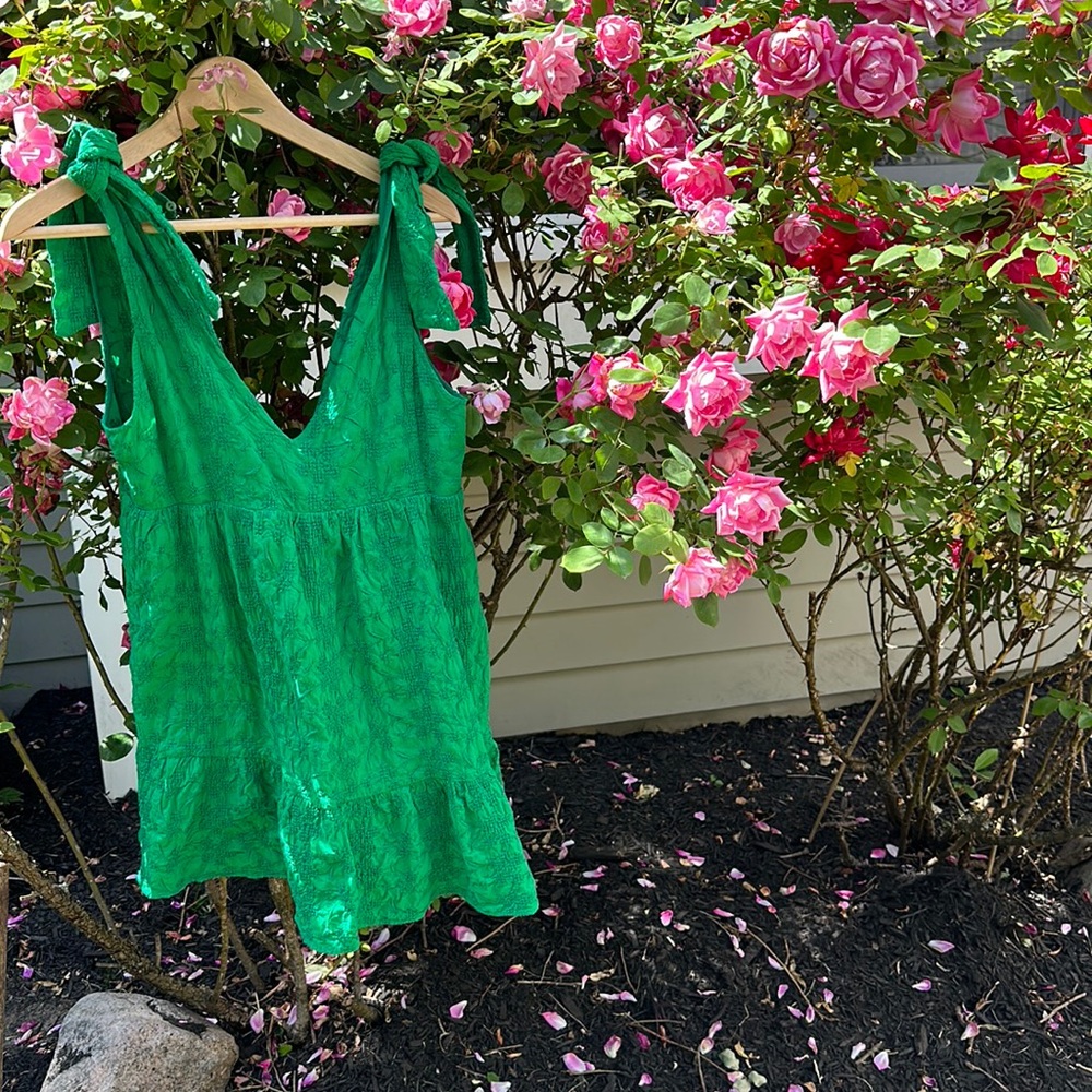 Zara green dress with embroidery